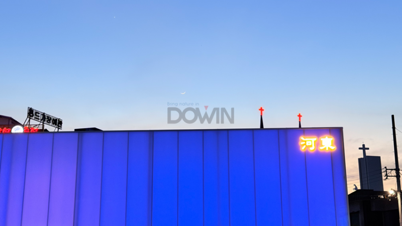5f633d6271e43a4725d5d2d6474d0717_1779323350_3262.png