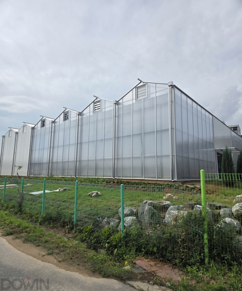 c7f9197d4e68b34cc490f1fcd7e1e408_1788497800_3642.png